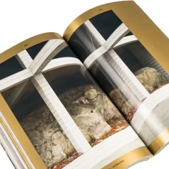 Apartamento Livres Et Magazines*Magazine Issue #31 Multi