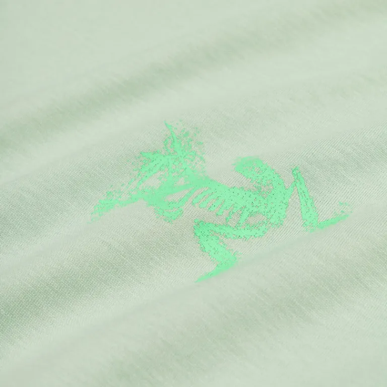 Arcteryx T-Shirts*Kragg SL Cotton Bird Tile Longsleeve Stone Green / Phosphorescent