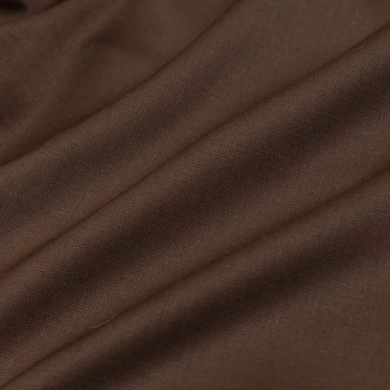 Asphaltgold Shorts*Pleated Shorts Brown
