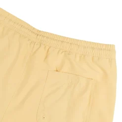 Carhartt WIP Shorts*Chase Swim Trunks Air Yellow / Gold