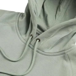 Carhartt WIP Sweats À Capuche*Hooded Chase Sweatshirt Frosted Green / Gold