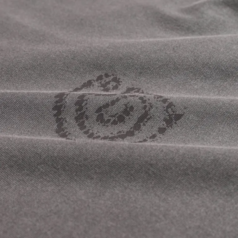 Carhartt WIP T-Shirts*L/S Terrestrial T-Shirt Black / Graphite