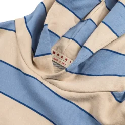 Marni Sweats À Capuche*Striped Yarn Dyed Sweatshirt Blue / Lilac