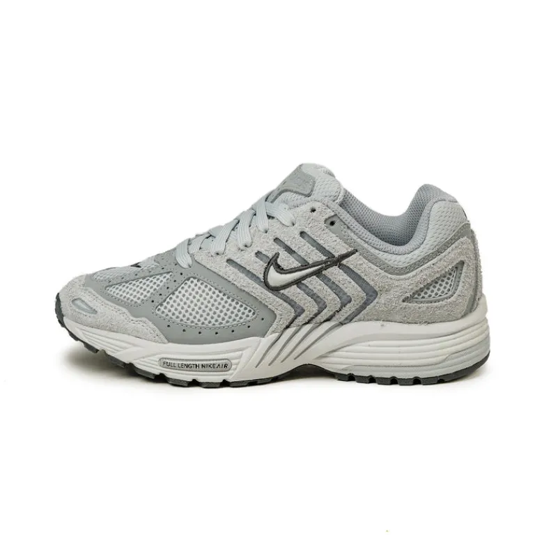 Nike Sneakers En Cuir|Sneakers Blancs*Wmns Air Pegasus 2005 Pure Platinum / Metallic Platinum / Wolf Grey
