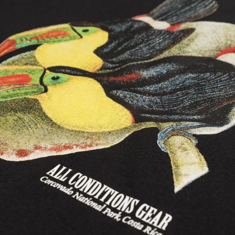 Nike T-Shirts*ACG Dri-Fit Toucan T-Shirt Black