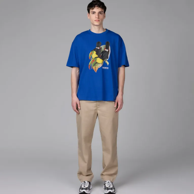 Nike T-Shirts*ACG Dri-Fit Toucan T-Shirt Game Royal
