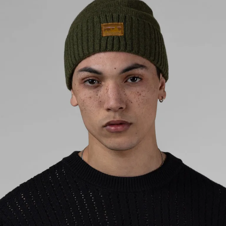 Patagonia Alle Anzeigen|Beanies*Brodeo Beanie 73 Skyline, Pine Needle Green