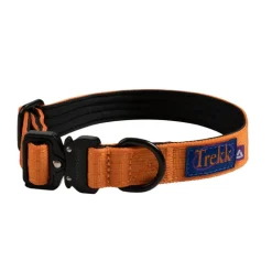 Trekk by Asphaltgold Alle Anzeigen|Accessoires Pour Chiens*Trekk Dog Collar Sunny Orange