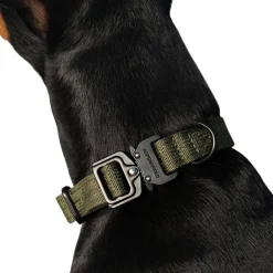 Trekk by Asphaltgold Alle Anzeigen|Accessoires Pour Chiens*Trekk Dog Collar Midnight Purple