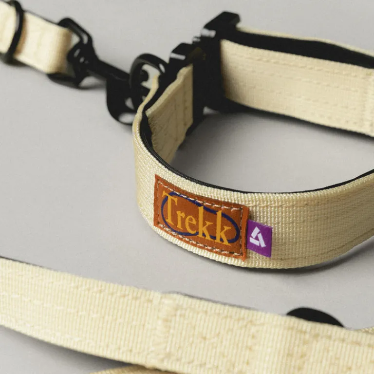 Trekk by Asphaltgold Alle Anzeigen|Accessoires Pour Chiens*Trekk Dog Collar Creme / Black