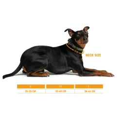 Trekk by Asphaltgold Alle Anzeigen|Accessoires Pour Chiens*Trekk Dog Collar Creme / Black
