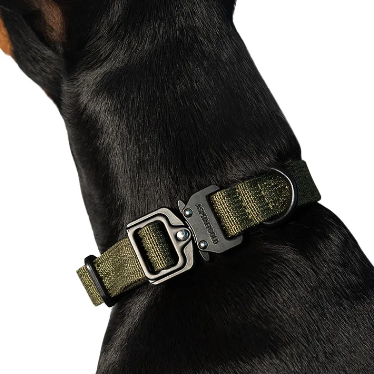 Trekk by Asphaltgold Alle Anzeigen|Accessoires Pour Chiens*Trekk Dog Collar Creme / Black