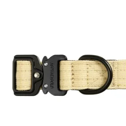 Trekk by Asphaltgold Alle Anzeigen|Accessoires Pour Chiens*Trekk Dog Collar Creme / Black